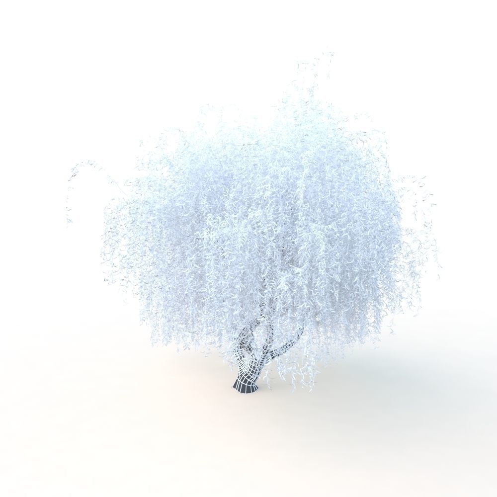 willow fall tree 3D model_26