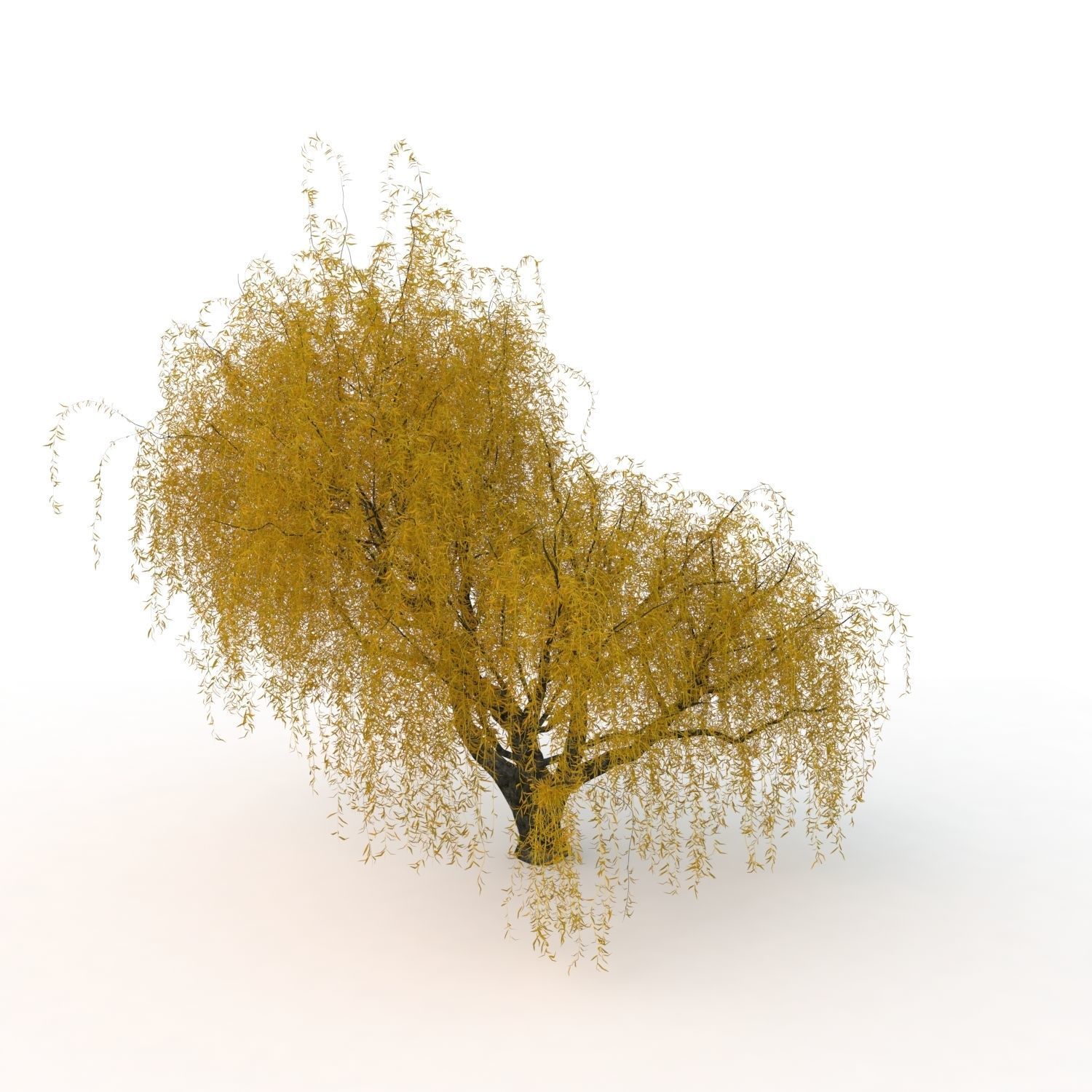 willow fall tree 3D model_19