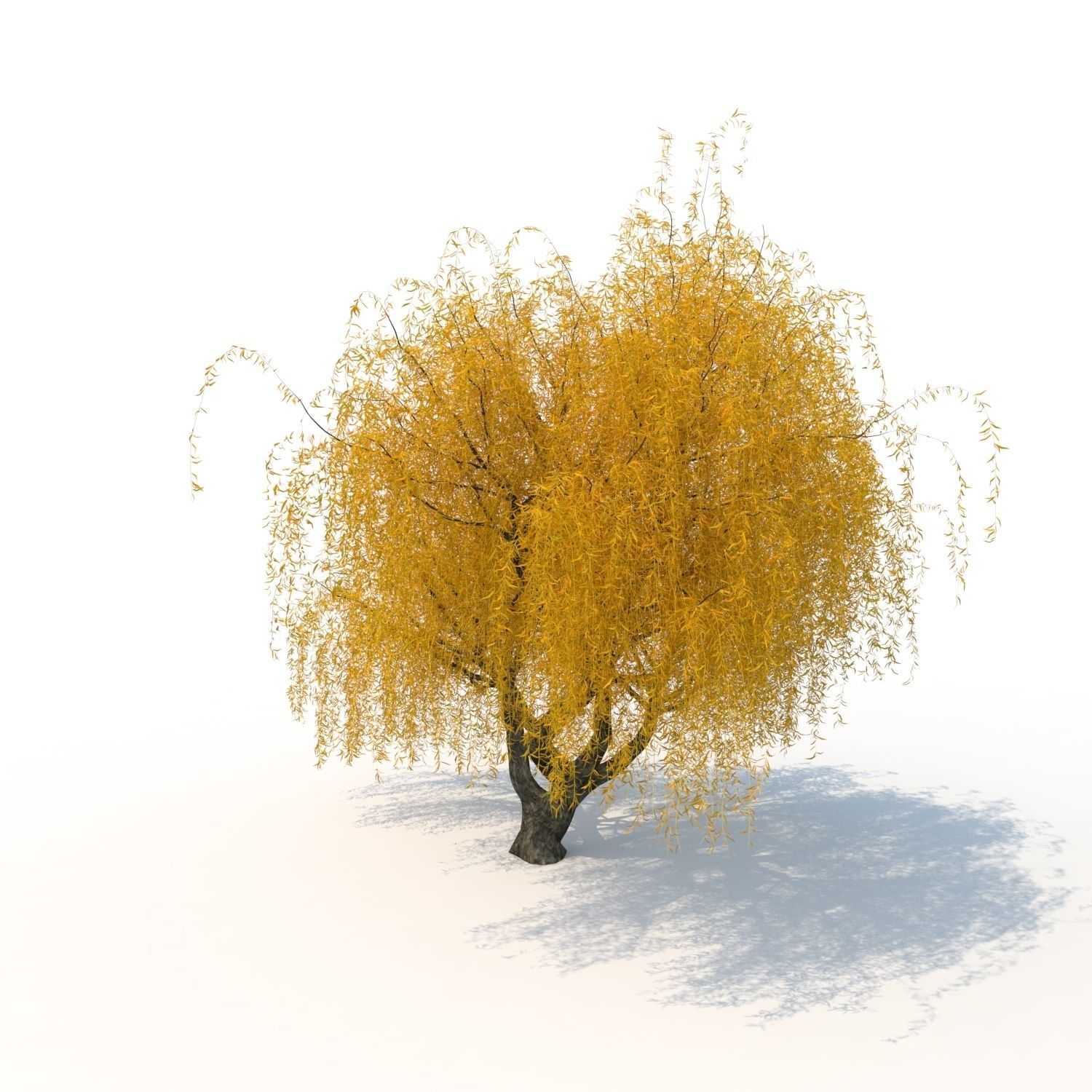 willow fall tree 3D model_9
