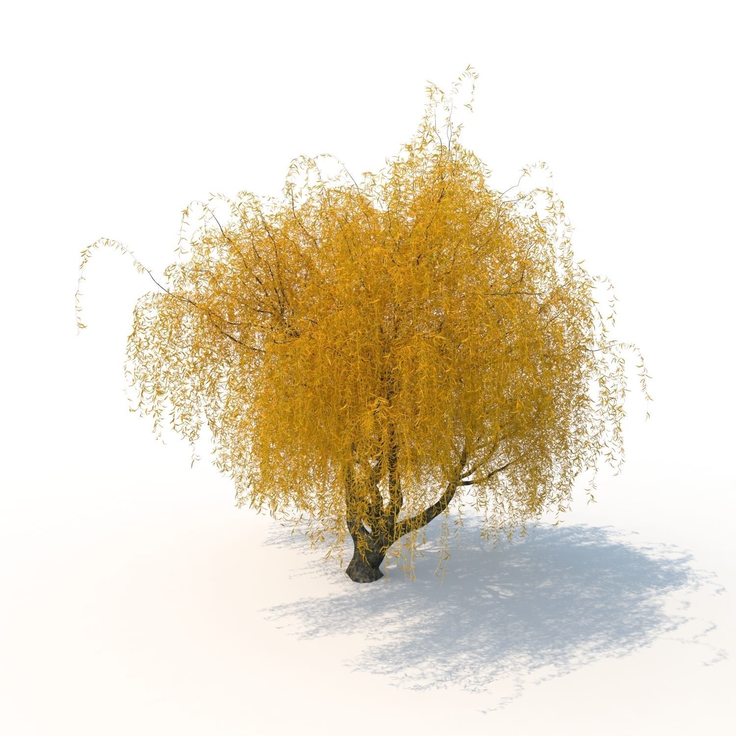 willow fall tree 3D model_10