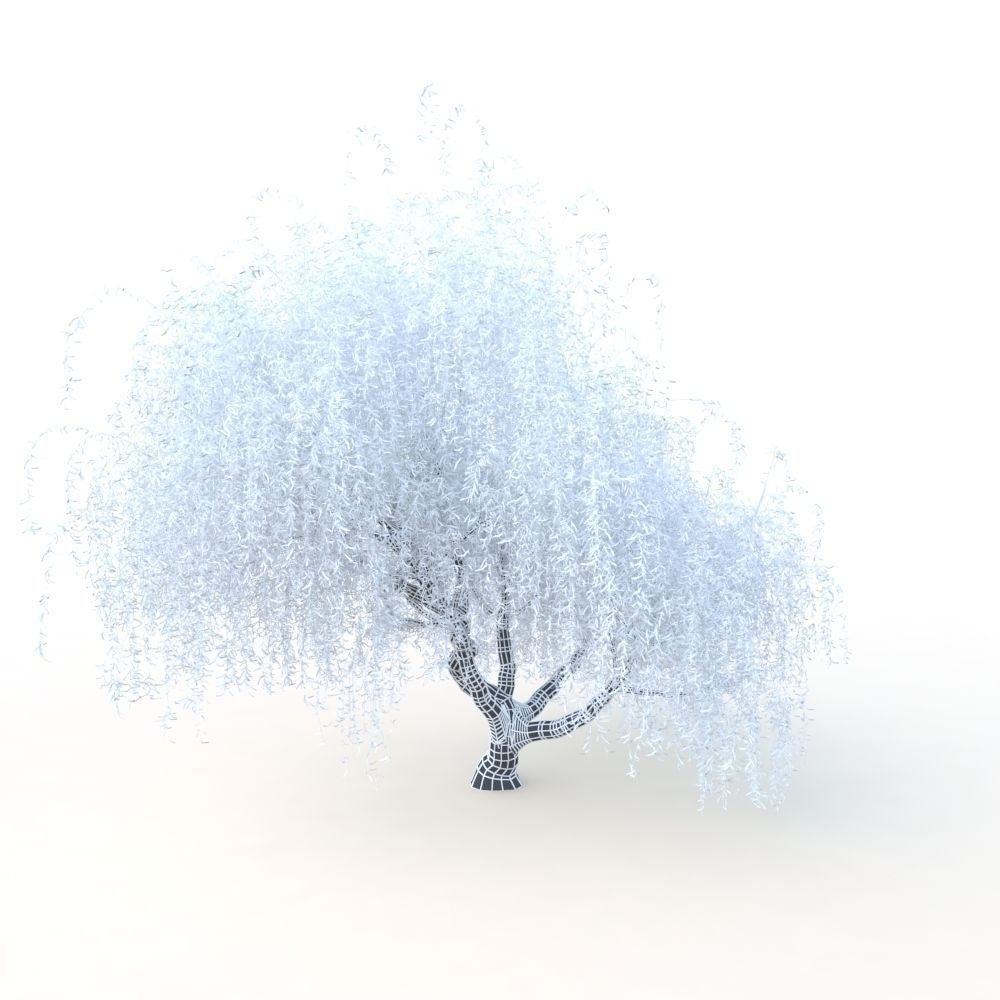 willow fall tree 3D model_28