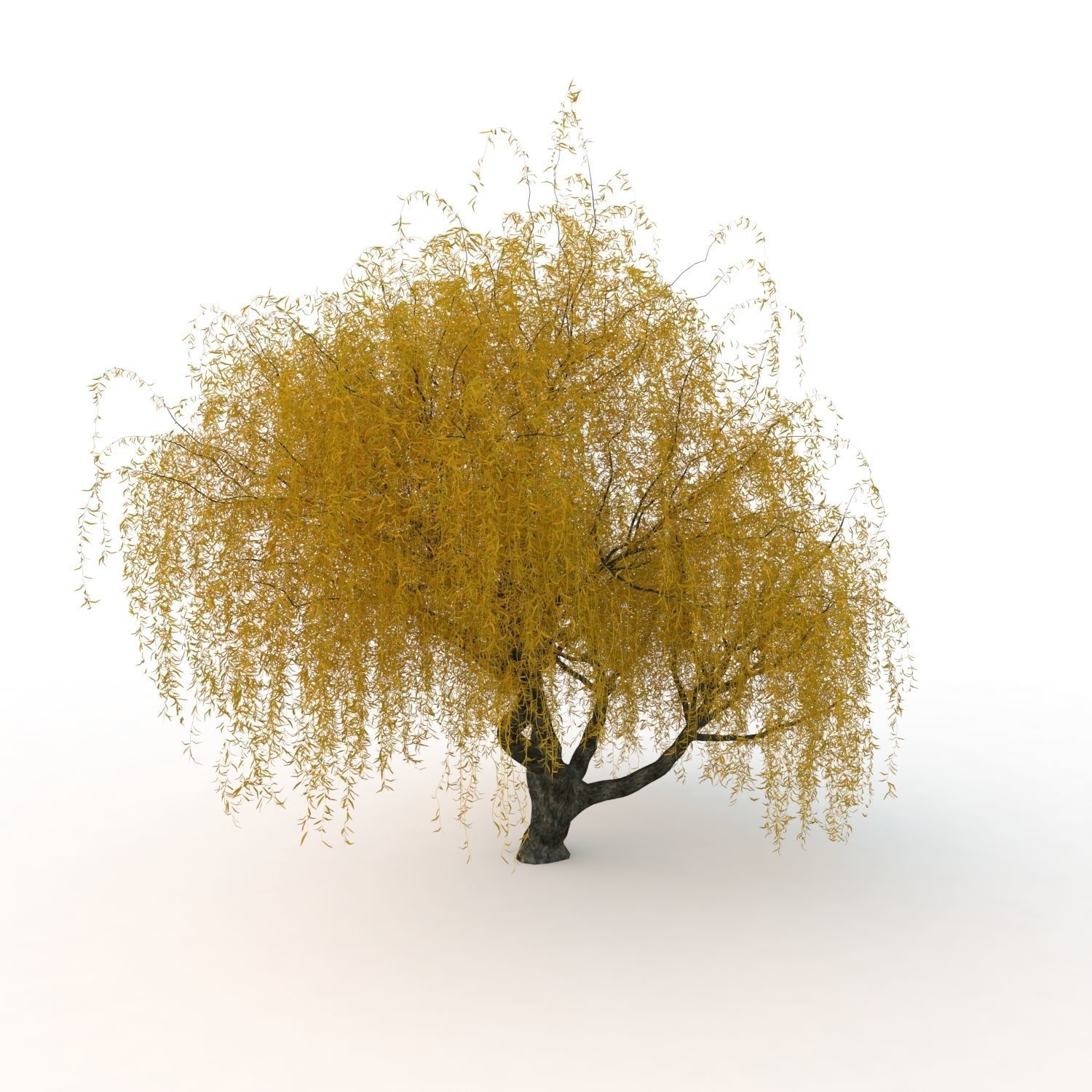 willow fall tree 3D model_14