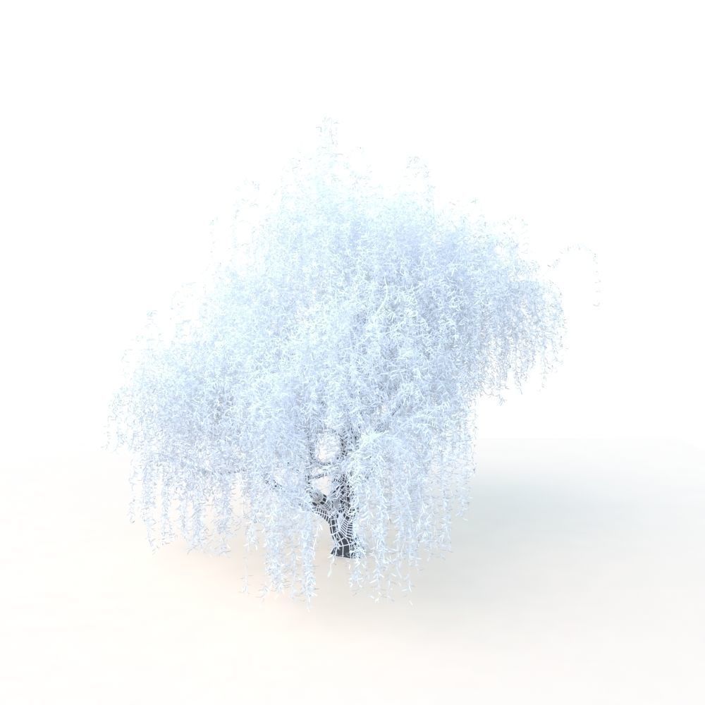 willow fall tree 3D model_33