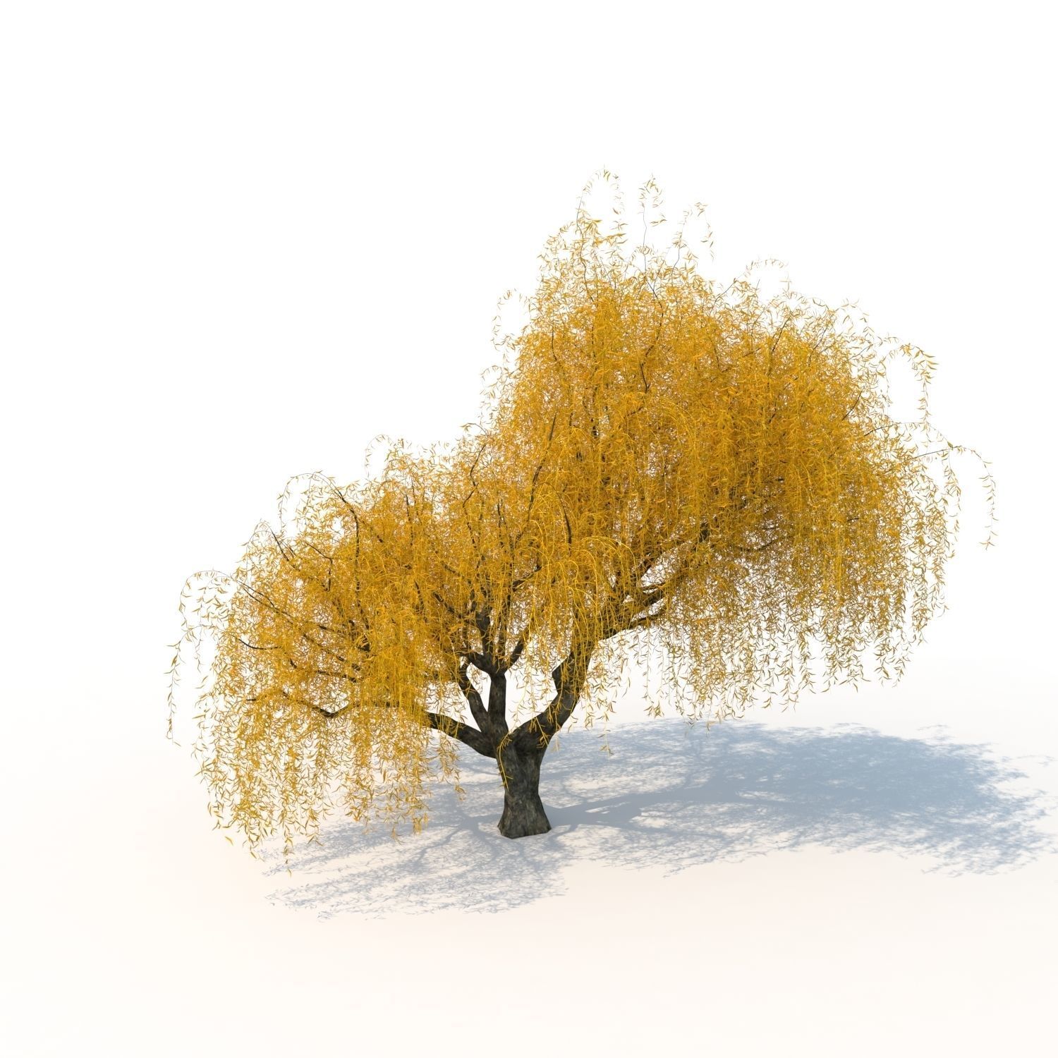 willow fall tree 3D model_4