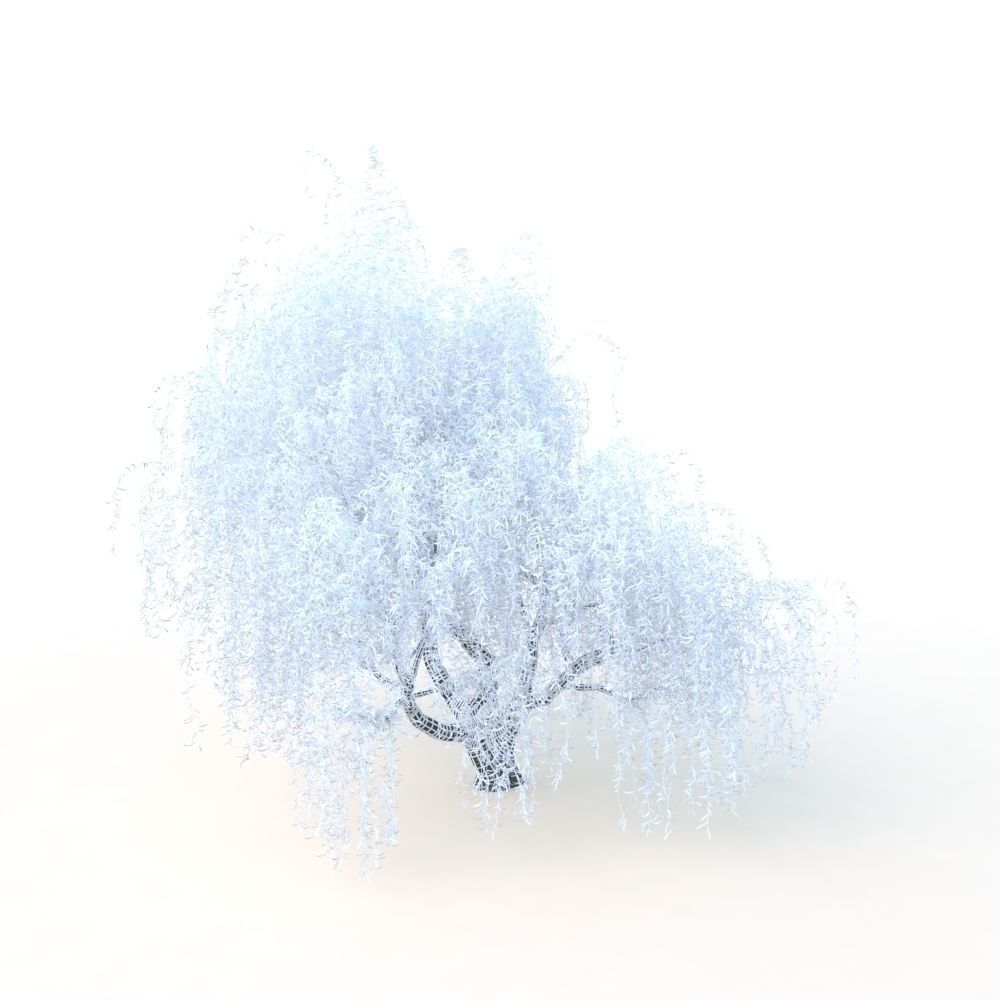 willow fall tree 3D model_31