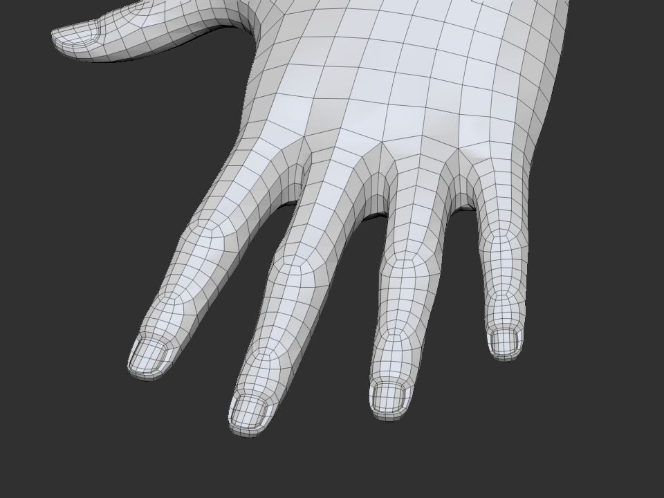 realistic female hand 3D model_8