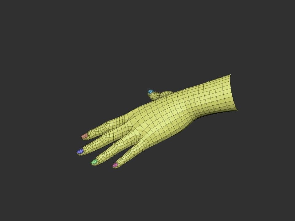 realistic female hand 3D model_5