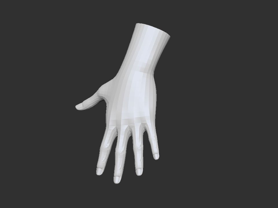 realistic female hand 3D model_1