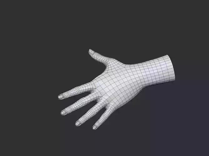 realistic female hand 3D model