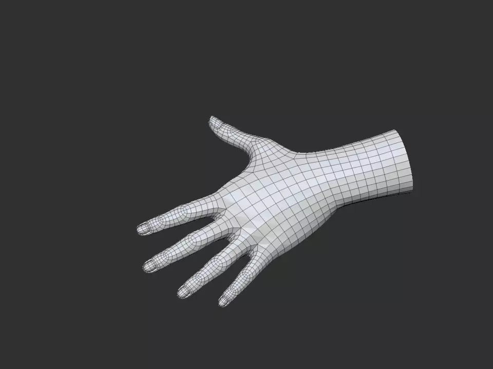 realistic female hand 3D model_0