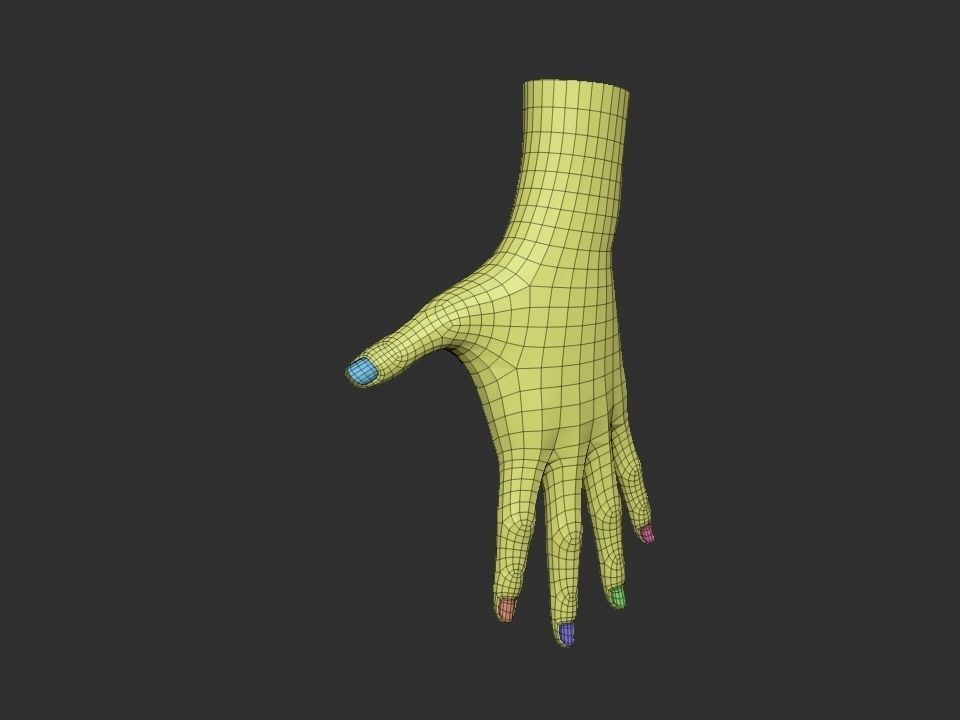 realistic female hand 3D model_4