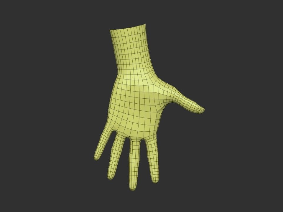 realistic female hand 3D model_3
