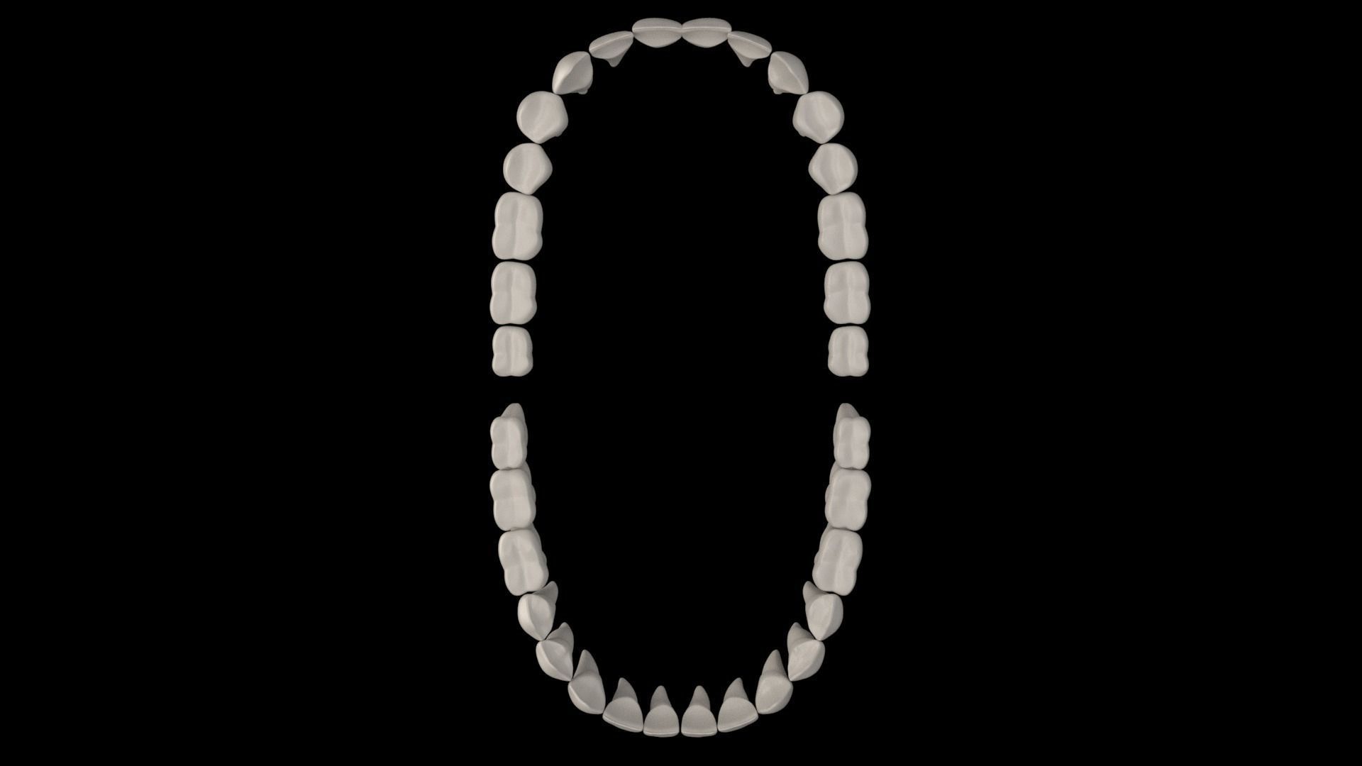 teeth human mouth with 3D model_5