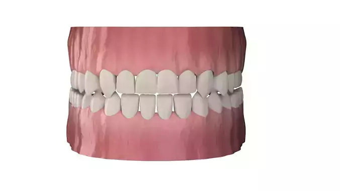 teeth human mouth with