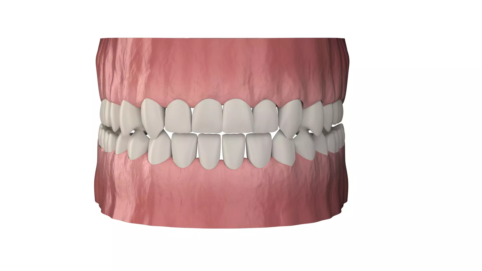 teeth human mouth with 3D model_0