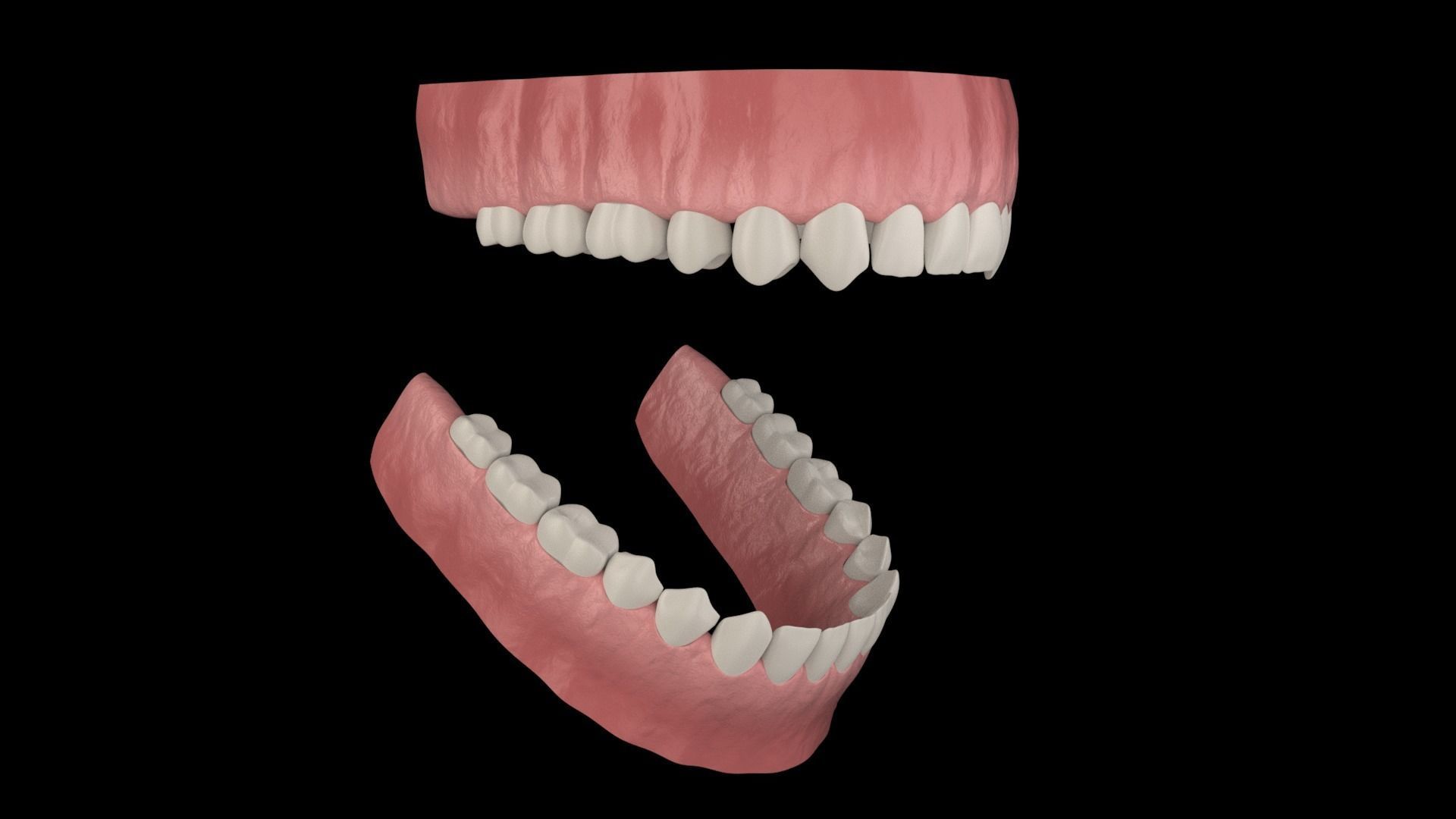 teeth human mouth with 3D model_1