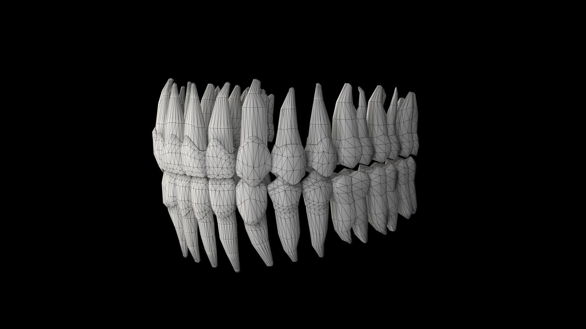 teeth human mouth with 3D model_4