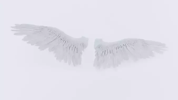 Angel or bird wings 3D model