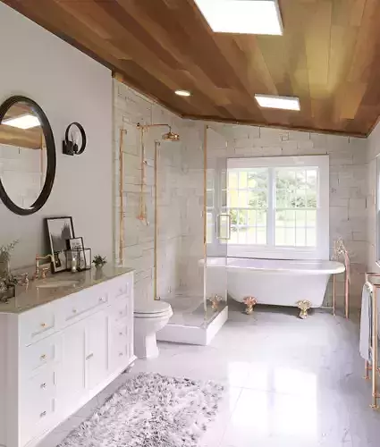 Bathroom Scene Interior