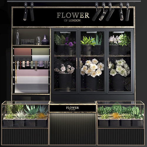 Refrigerated display for flowers-florist-flower shop decor set 3D model