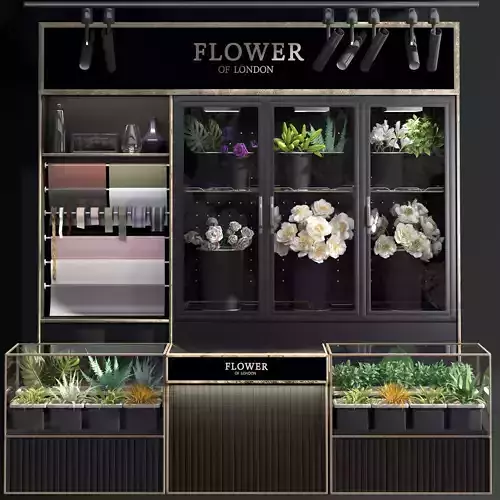 Refrigerated display for flowers-florist-flower shop decor set 3D model Refrigerated display for flowers-florist-flower shop decor set 3D model