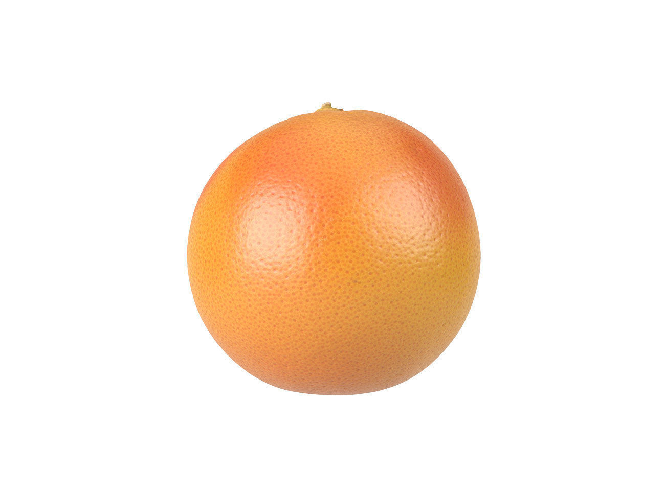 Photorealistic Grapefruit 3D Scan 1 3D model_2