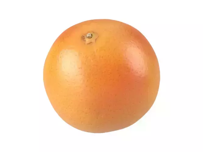 Photorealistic Grapefruit 3D Scan 1