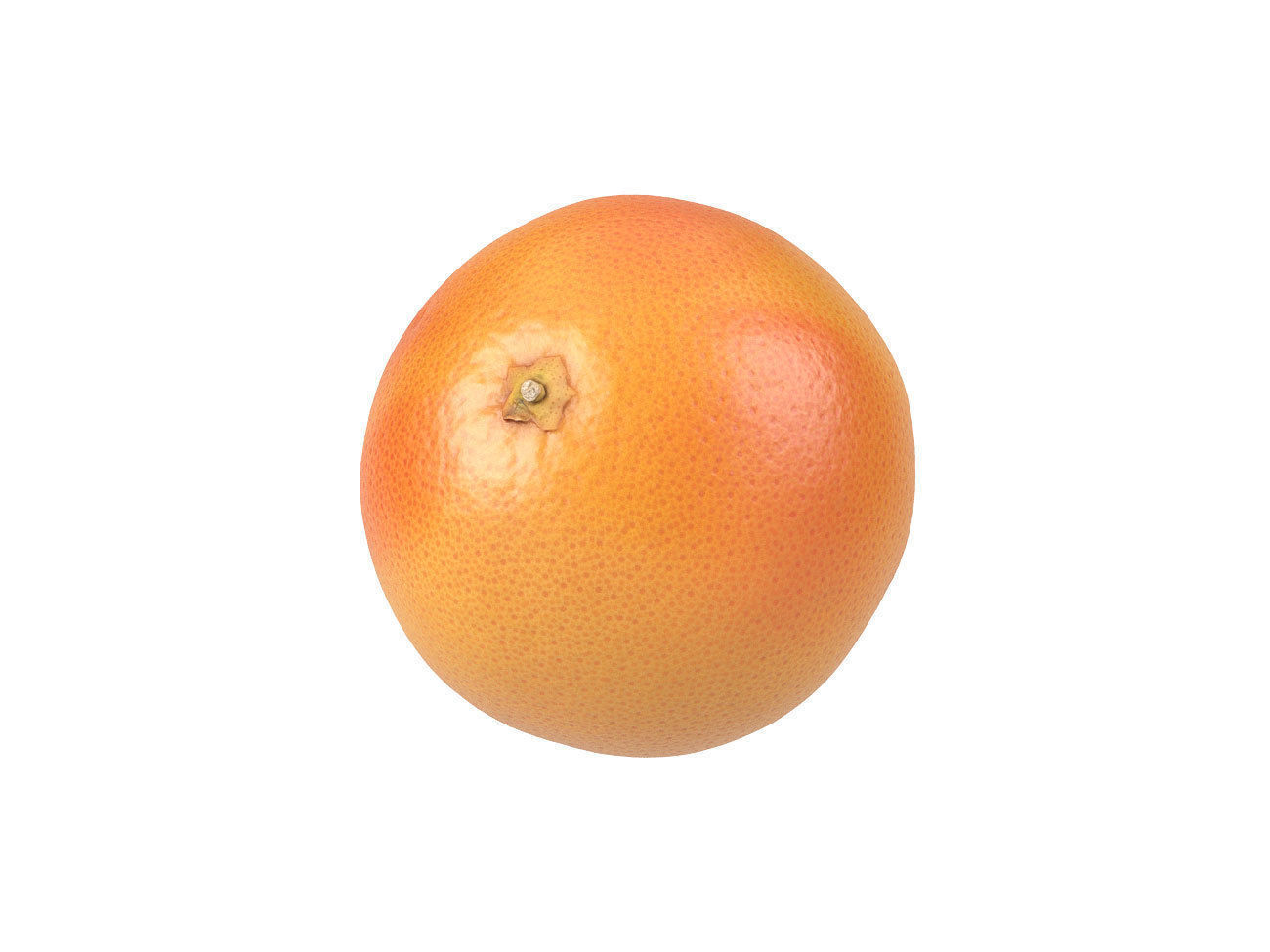 Photorealistic Grapefruit 3D Scan 1 3D model_4