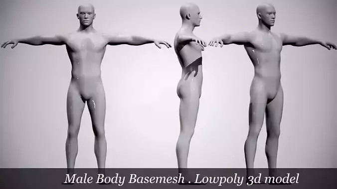 Male Body Basemesh Low-poly 3D model