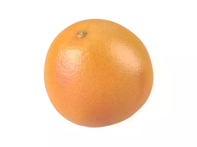 Photorealistic Grapefruit 3D Scan 2