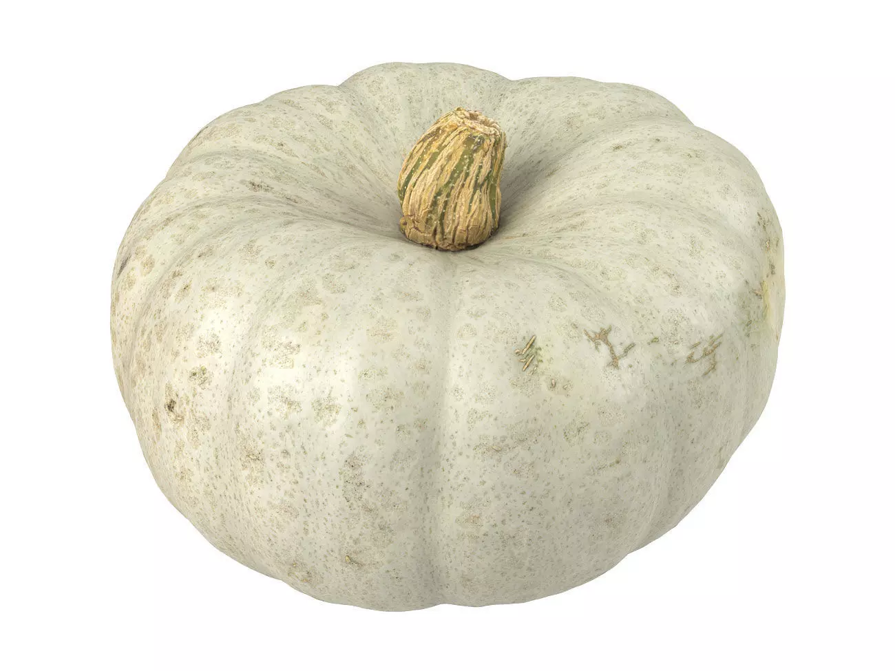 Photorealistic Kabocha Squash 3D Scan 1 3D model_0