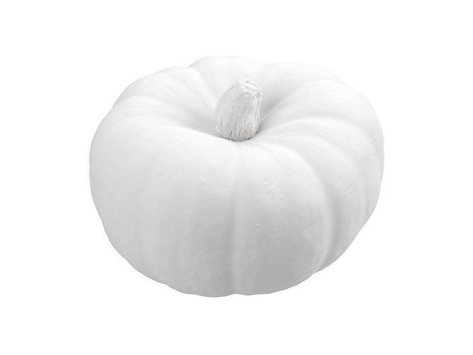 Photorealistic Kabocha Squash 3D Scan 1 3D model 7