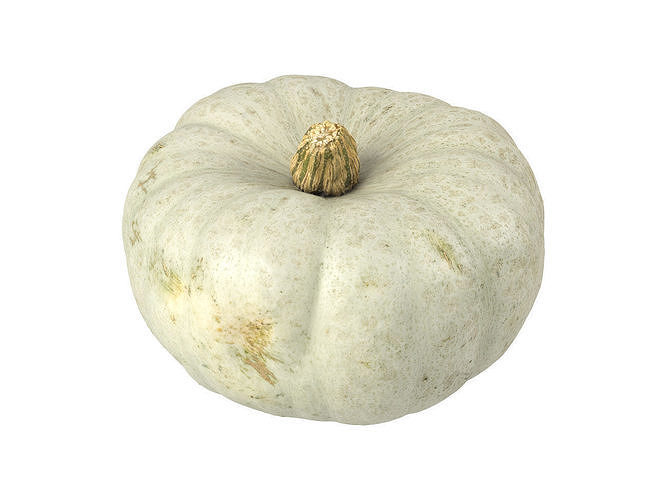 Photorealistic Kabocha Squash 3D Scan 1 3D model 2