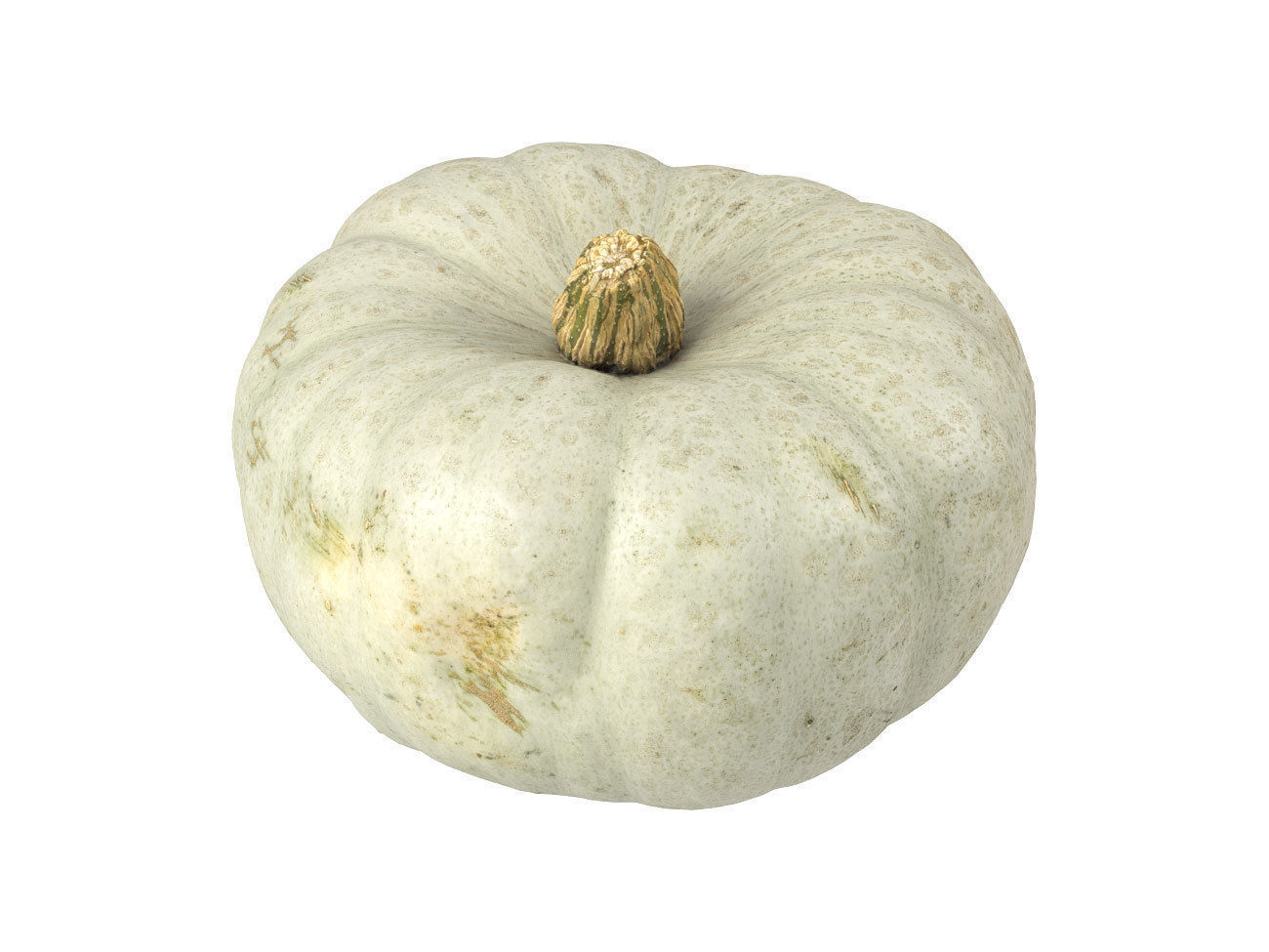 Photorealistic Kabocha Squash 3D Scan 1 3D model_1