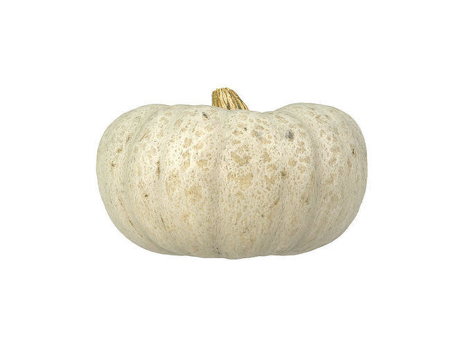 Photorealistic Kabocha Squash 3D Scan 1 3D model 6