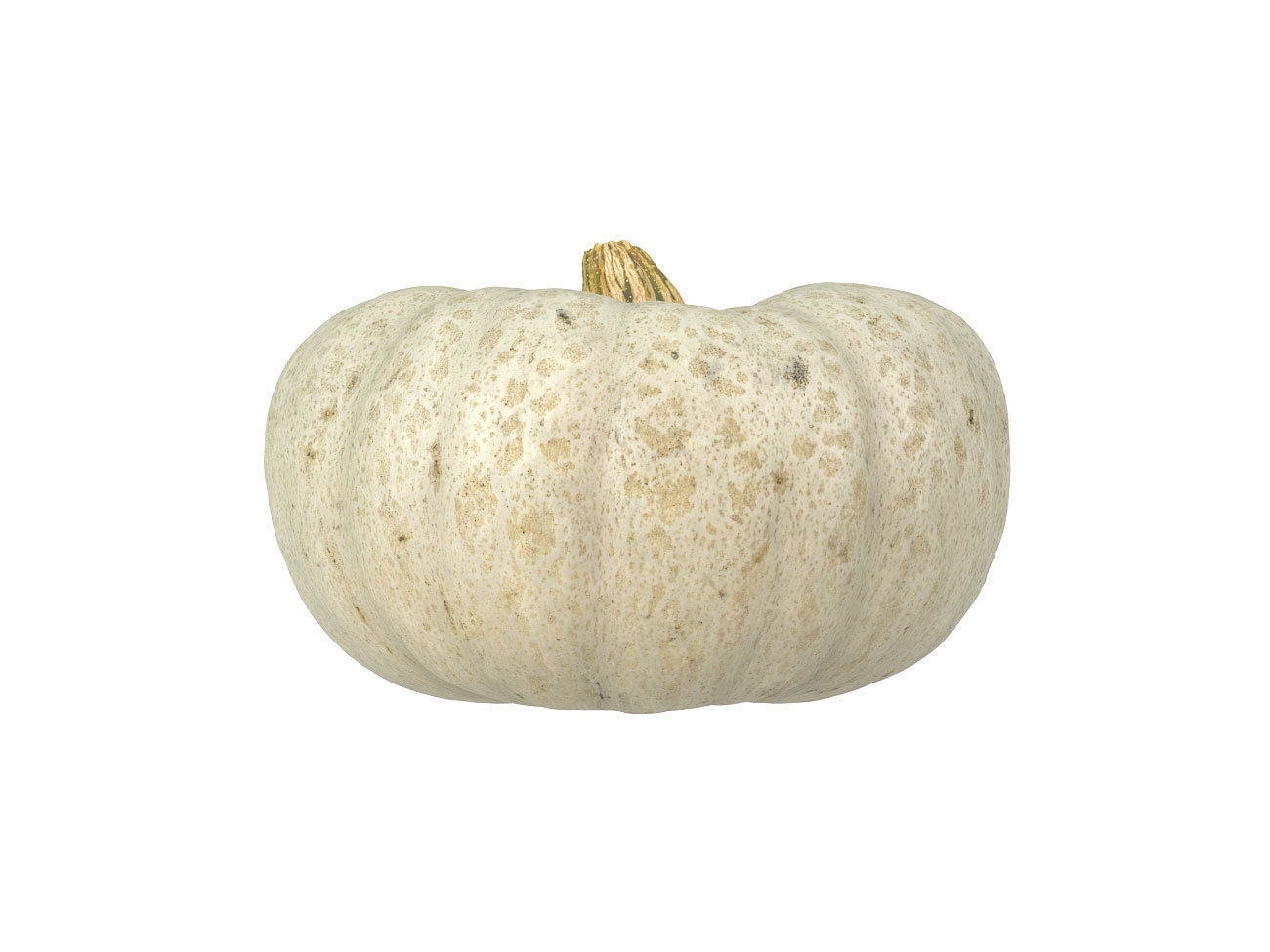 Photorealistic Kabocha Squash 3D Scan 1 3D model_5