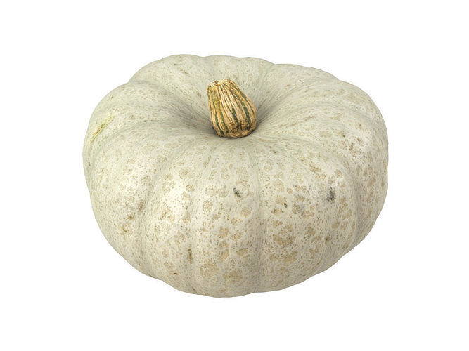 Photorealistic Kabocha Squash 3D Scan 1 3D model 3