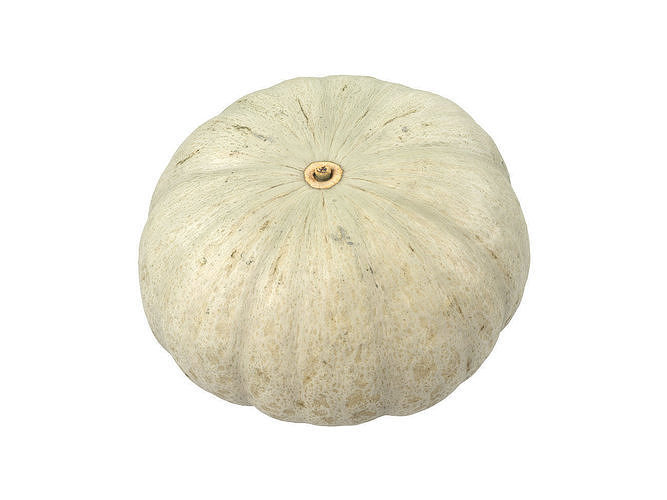 Photorealistic Kabocha Squash 3D Scan 1 3D model 4