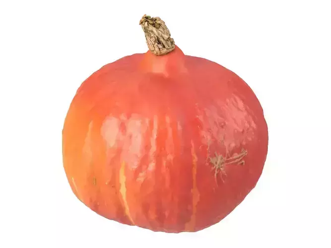 Photorealistic Hokkaido Pumpkin 3D Scan 1
