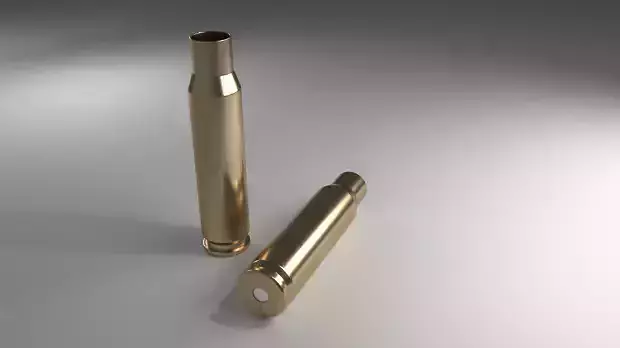 Bullet two brass bullets