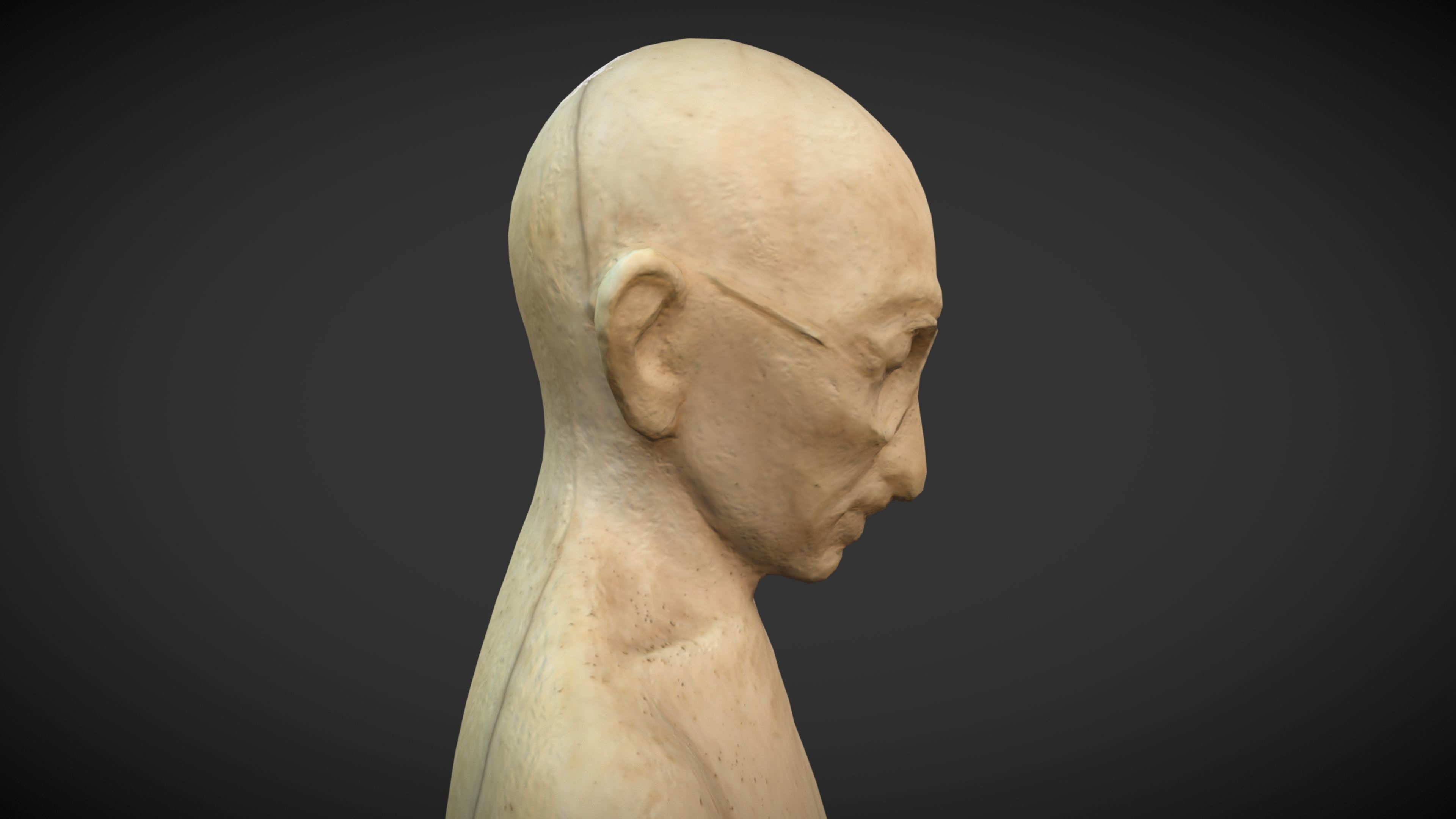 Ivory Gandhi v2 3DP 3D print model_33