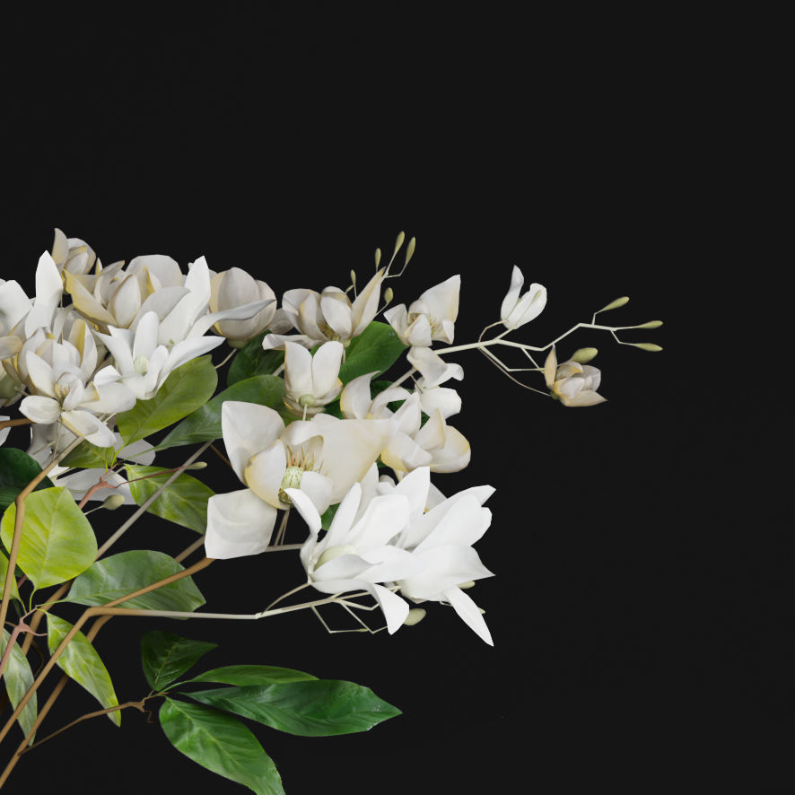 Gardenia Flower Bouquet Vase decor set 3D model_22