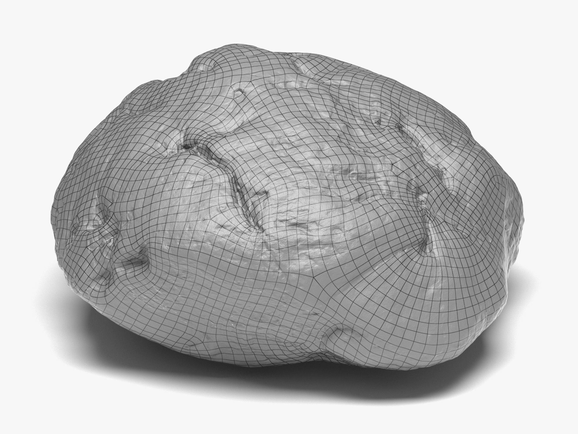 Rock 03 - 8K Scan Low-poly 3D model_6