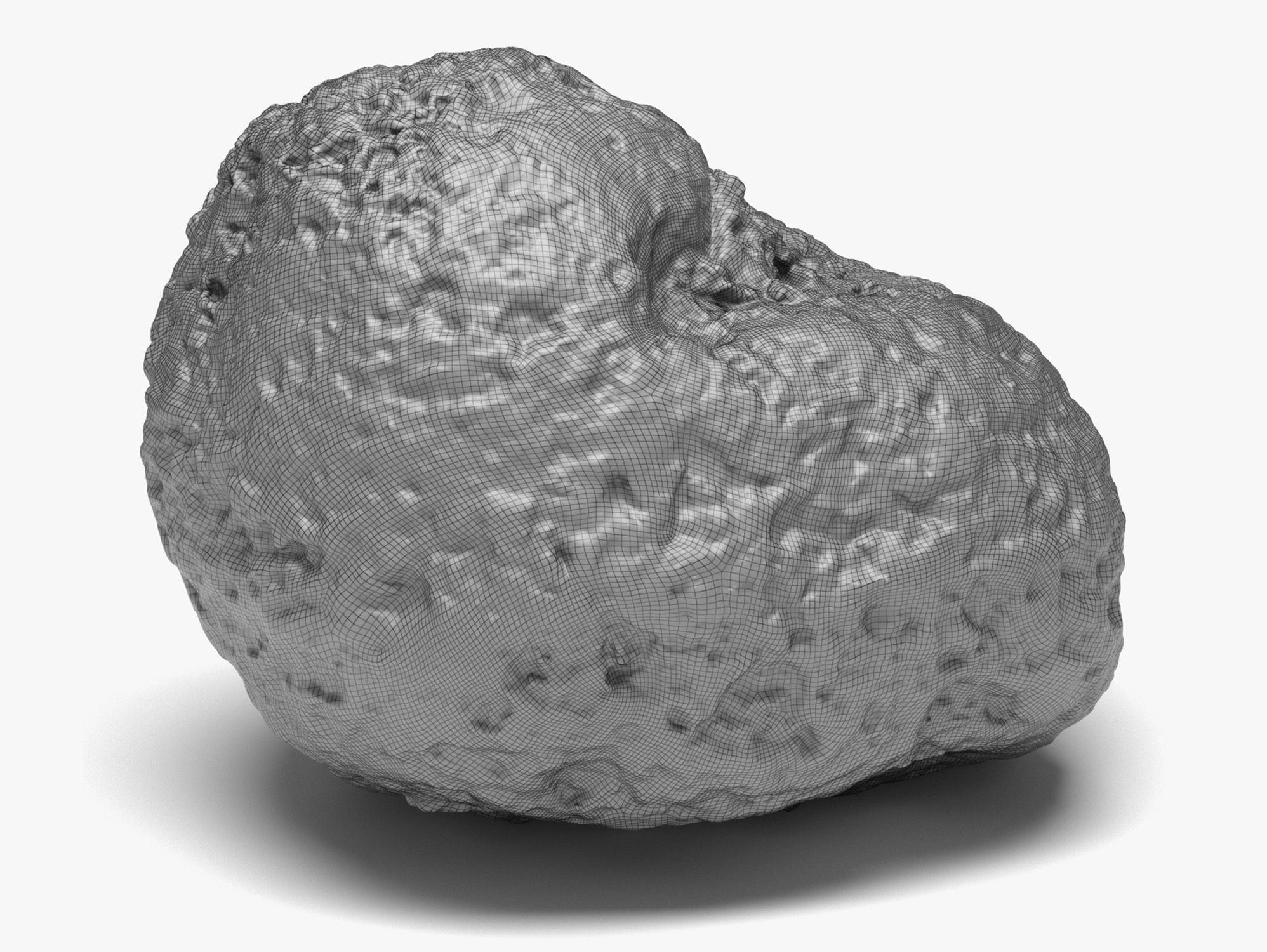 Rock 04 - 16K Scan Low-poly 3D model_7