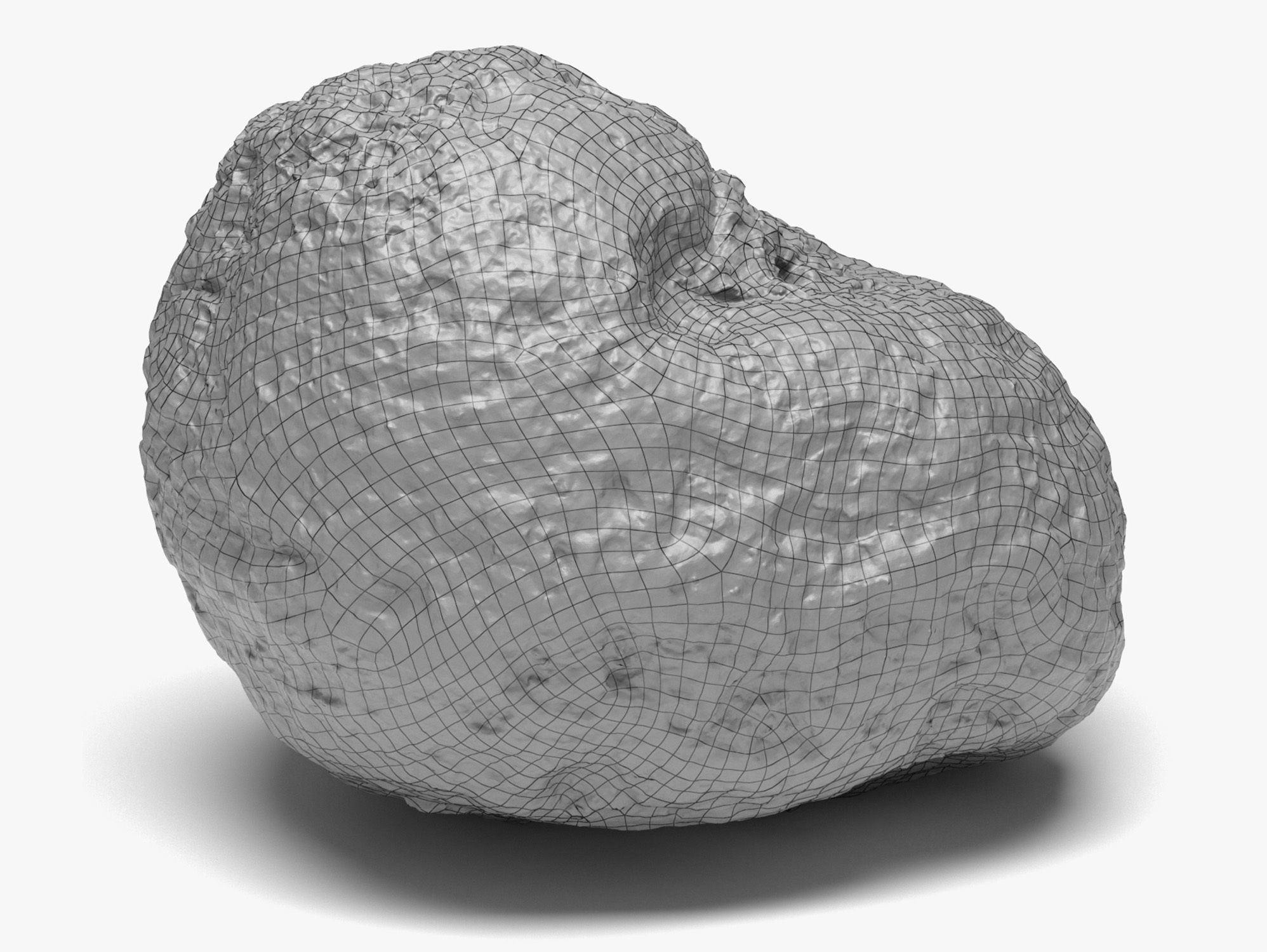 Rock 04 - 16K Scan Low-poly 3D model_6