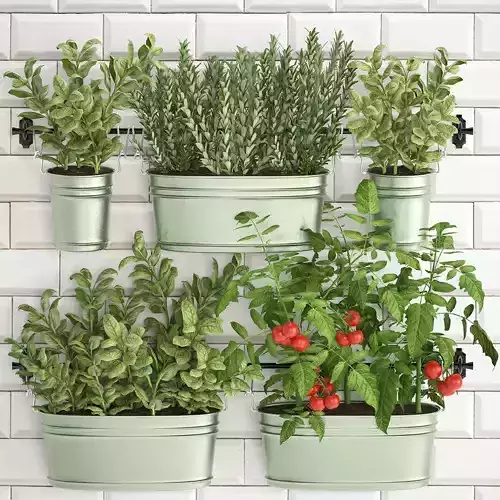 Decorative plants for the kitchen on railing 380 2