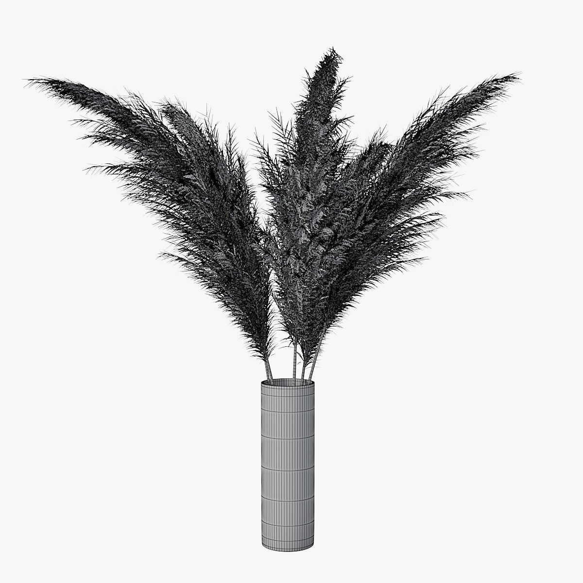 Pampas grass 02 3D model_1