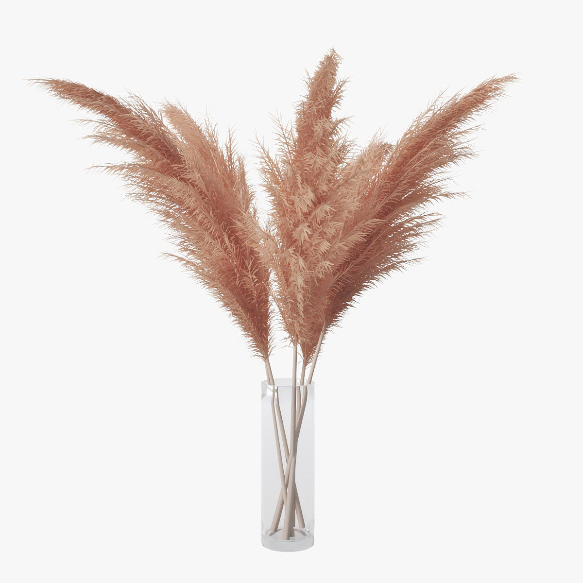 Pampas grass 02 3D model_2