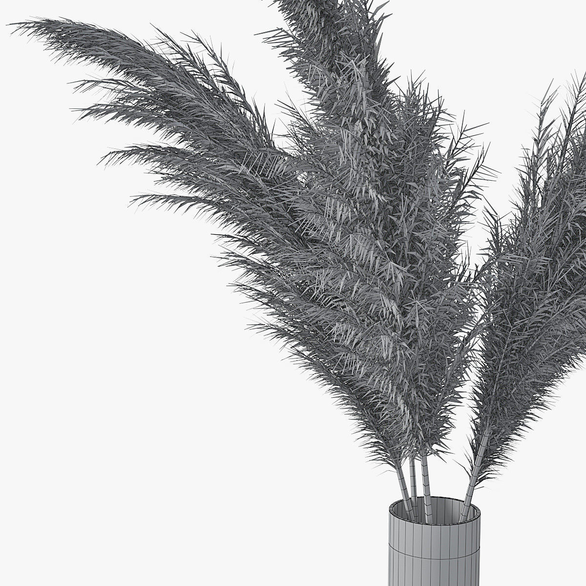 Pampas grass 02 3D model_15