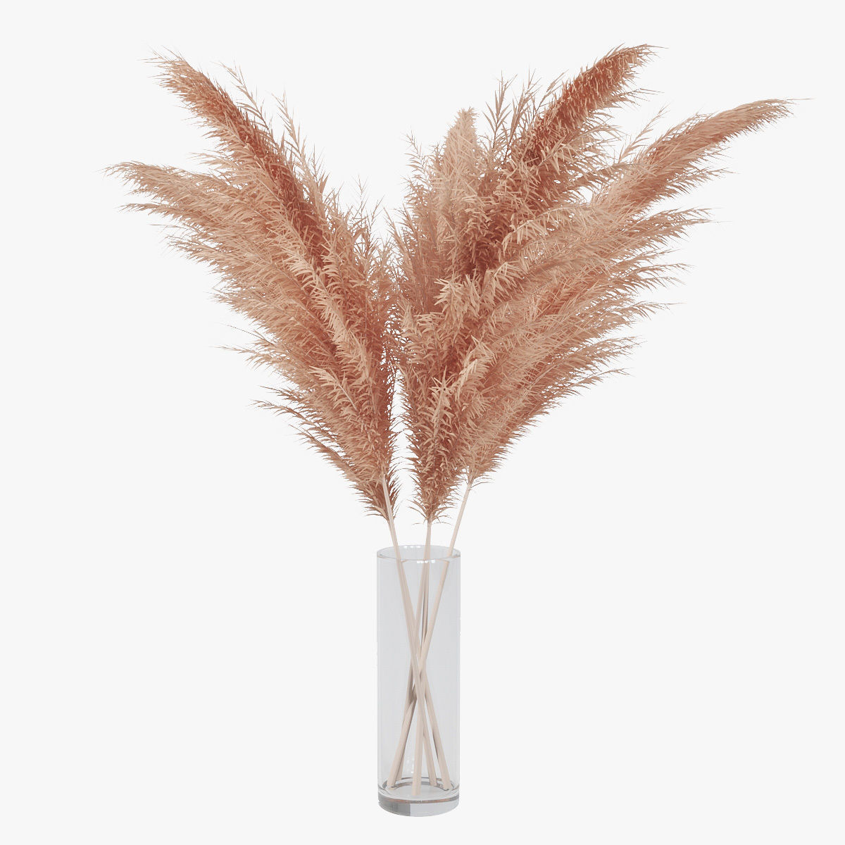 Pampas grass 02 3D model_10